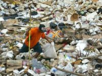 Landfill insurance claim support - man picking up trash in a landffill