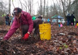 Park Restoration Event