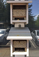 Farallon Bee Condos