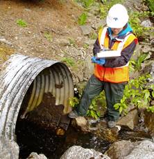 Stormwater Sampling