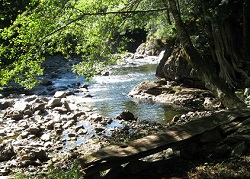 Remote river site