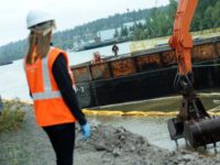 Sediment Cleanup in the Lower Duwamish Waterway