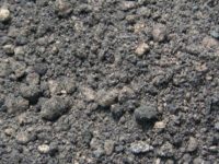 Contaminated Soil Excavation