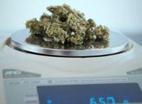 Operational Compliance