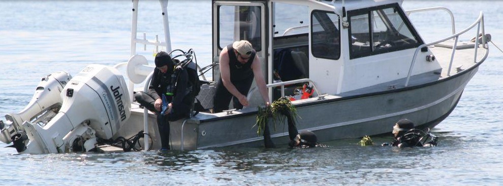 Men on boat prepping to scuba dive