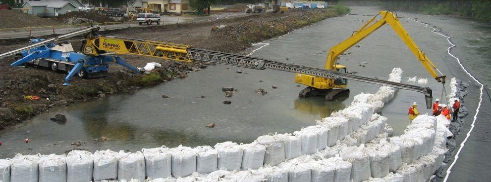 Lake cleanup