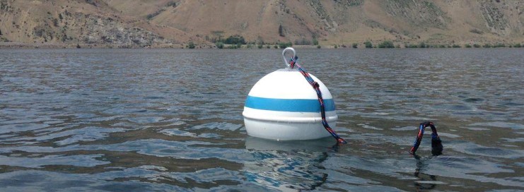 buoy floating on water