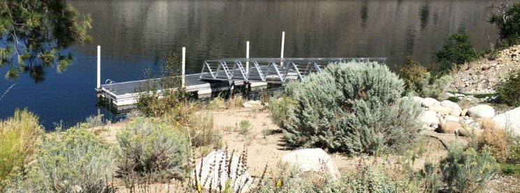 dock with giant bushels in front of it