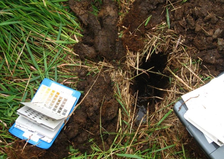 flipbook next to wetlands