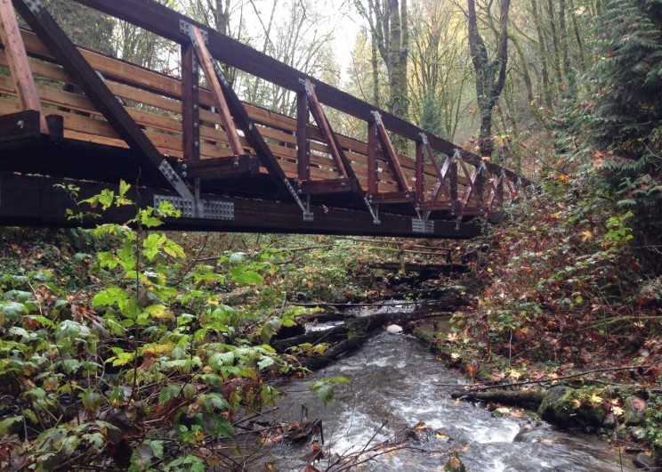 wood-bridge-over-small-creek-in-forest