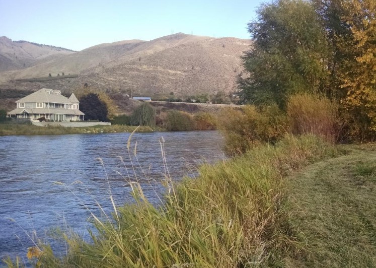 wetlands with a house in the background